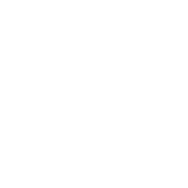 aboutus icon