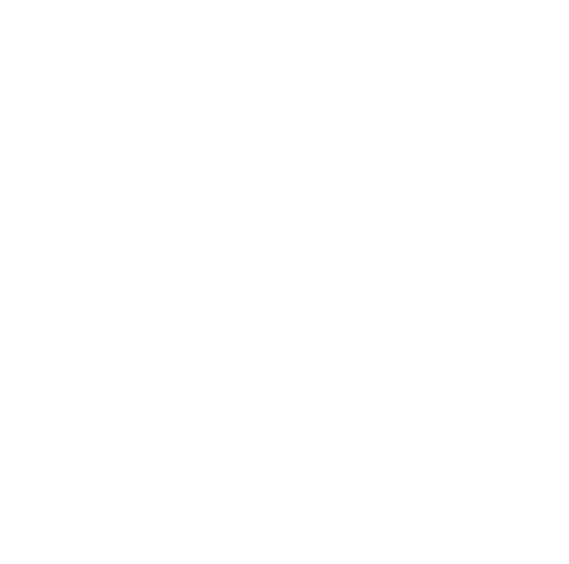 aboutus icon